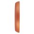 Titan Classic Brown Colour Wall Clock with Silent Sweep 34 x 34 cm (Medium)